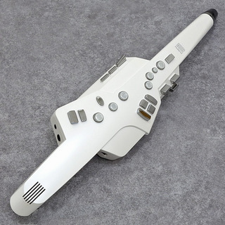 Roland Aerophone AE-10 【売切御免!赤札市セール2.22(土)～2.28(金)】