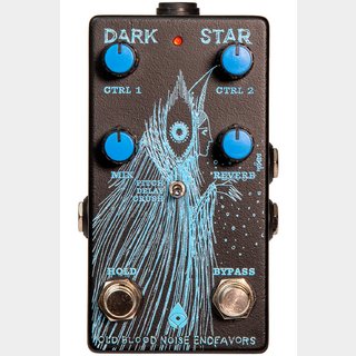 Old Blood Noise EndeavorsDARK STAR Pad Reverb【渋谷店】