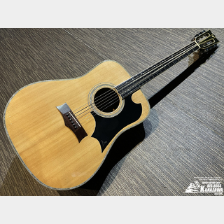 アコースティックギター、K.Yairiの検索結果【楽器検索デジマート】