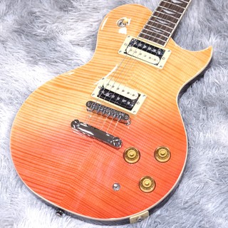 Aria Pro II 【月末SALE】PE-JAIL 2025 BDSB Bloody Sunburst【限定生産】