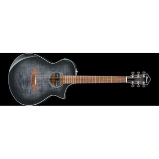 アコースティックギター／エレクトリック・アコースティックギター