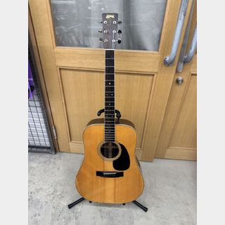 アコースティックギター／エレクトリック・アコースティックギター、S