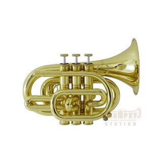 CarolBrass キャロルブラス / N3000 CL #141**7 【Bb ポケット トランペット 】 【新品チョイキズ超特価!!】