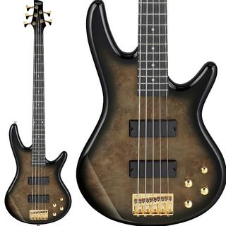 Gio Ibanezの検索結果【楽器検索デジマート】