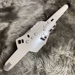 Roland Aerophone AE-10【現物画像】