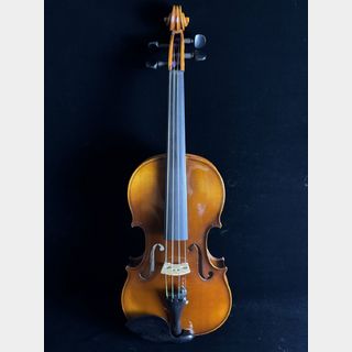 Karl Hofnerの検索結果【楽器検索デジマート】
