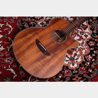 アコースティックギター／エレクトリック・アコースティックギター