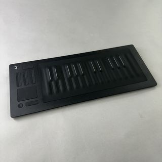 ROLI Seaboard RISE 25