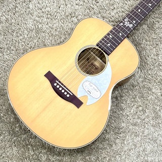 Headway HTJ-SAKURA / SKPN【アウトレット特価】【エレアコ】