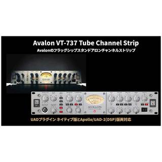 Universal Audio 【メール納品】Avalon VT-737 Tube Channel Strip プラグインソフト【代引き不可】11/30まで！