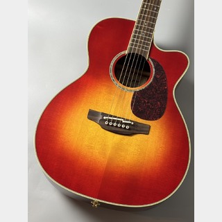 アコースティックギター／エレクトリック・アコースティックギター