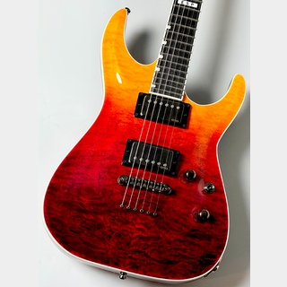 E-II、Horizon NT-IIの検索結果【楽器検索デジマート】