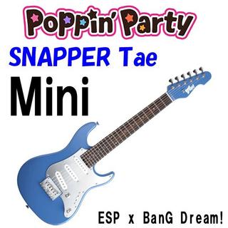 BanG Dream!SNAPPER Tae Mini