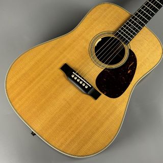 Martin D-28 Standard　Anthem SL付き