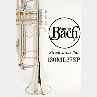 トランペット　Bach 180ML37SP Stradivarius Vincent Bach (ヴィンセント・バック) B♭トランペット