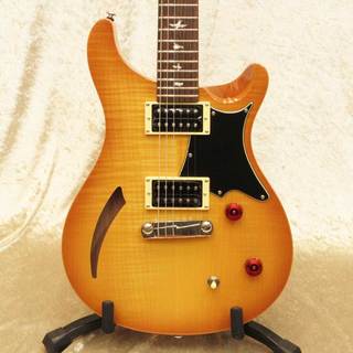 Paul Reed Smith(PRS) SE Custom Semi-Hollow