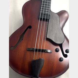 アコースティック・ベース／エレアコ・ベース、フレットレスの検索結果