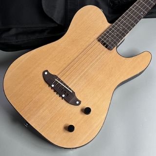 SCHECTERの検索結果【楽器検索デジマート】