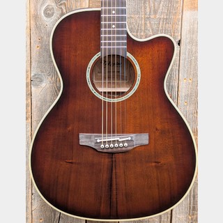エレクトリック・アコースティックギター、Takamineの検索結果【楽器