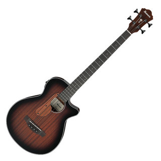アコースティック・ベース／エレアコ・ベース ＞ 一般の検索結果【楽器