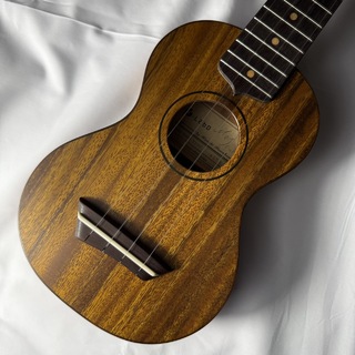 G-LABO DISH-1TS15F ウスレレ【現物画像】