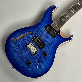 Paul Reed Smith(PRS)、SE custom22 Semi-Hollowの検索結果【楽器検索