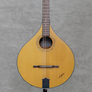 K.Yairi BOY Irish Bouzouki