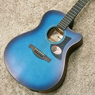 アコースティックギター／エレクトリック・アコースティック