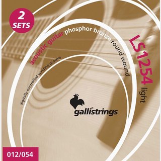 Galli Strings LS1254DS Light 2Set アコースティック弦 イタリア製 【福岡パルコ店】