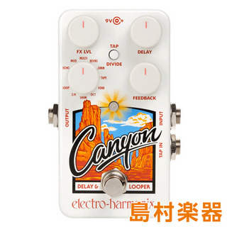 Electro-Harmonix CANYON / Delay&Loopers