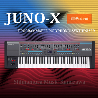 Roland JUNO-X 【箱ボロB級お買得品｜送料無料｜24回分割無金利キャンペーン中!】