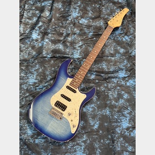 エレキギター、FUJIGEN(FGN)の検索結果【楽器検索デジマート】