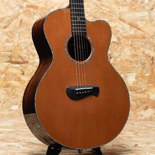 アコースティックギター／エレクトリック・アコースティックギター