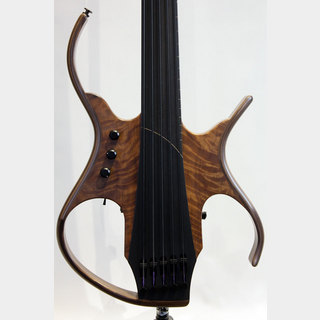 Paul Lairat Stega 5st Fretless