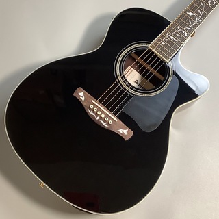 Ibanez AC391RCE エレアコギター