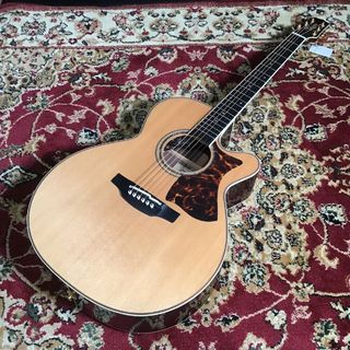 Takamine DMP50S