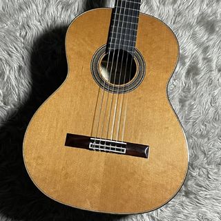 ARIA A-50C【セミハードケース付属】