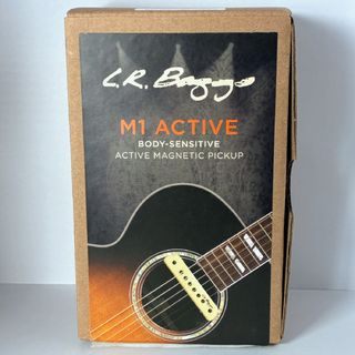 L.R.Baggs、M1 Activeの検索結果【楽器検索デジマート】