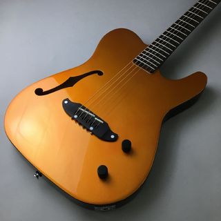 SCHECTER OL-FL-P エレアコギター（現物画像）