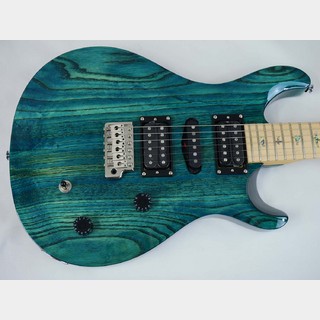 Paul Reed Smith(PRS)SE Swamp Ash Special 22  (Iri Blue)