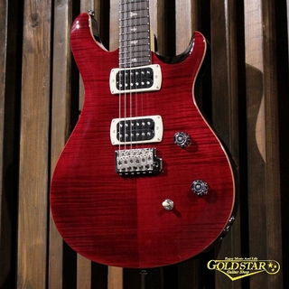 エレクトリックギター、Paul Reed Smith(PRS)、CEの検索結果【楽器検索