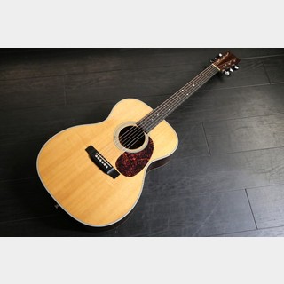 アコースティックギター／エレクトリック・アコースティックギター