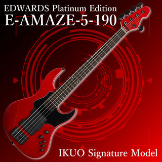 Edwards PlatinumE-AMAZE-5-190 IKUO Signature Model