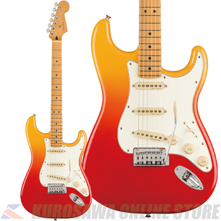 FenderPlayer Plus Stratocaster Maple Tequila Sunrise【ケーブルプレゼント】(ご予約受付中)