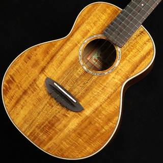 aNueNue aNN-AAA3　S/N：AM19955 【テナー】 【未展示品】