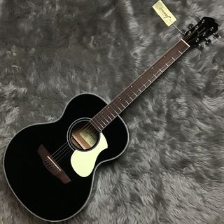 JamesJ-300D Black アコースティックギター ドレッドノートタイプ