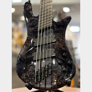 Spector 【クロサワ楽器限定品】NS Dimension MS5 -Translucent Black-【良杢!】【#W240247】【4.18kg】