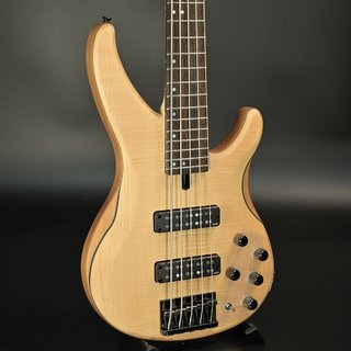 YAMAHA TRBX605FM Natural Satin (NS) 《特典付き》【名古屋栄店】