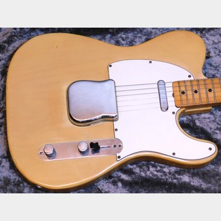 エレクトリックギター ＞ TLタイプ、Fender、Telecasterの検索結果