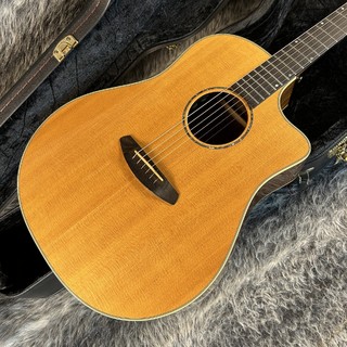 Breedloveの検索結果【楽器検索デジマート】
